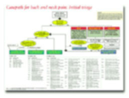 Written clinical spine care protocols